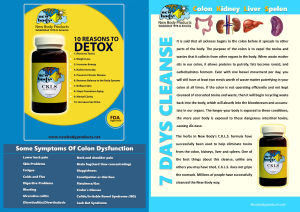 7 DAY CLEANSE CKLS FLYERS 10 COUNT